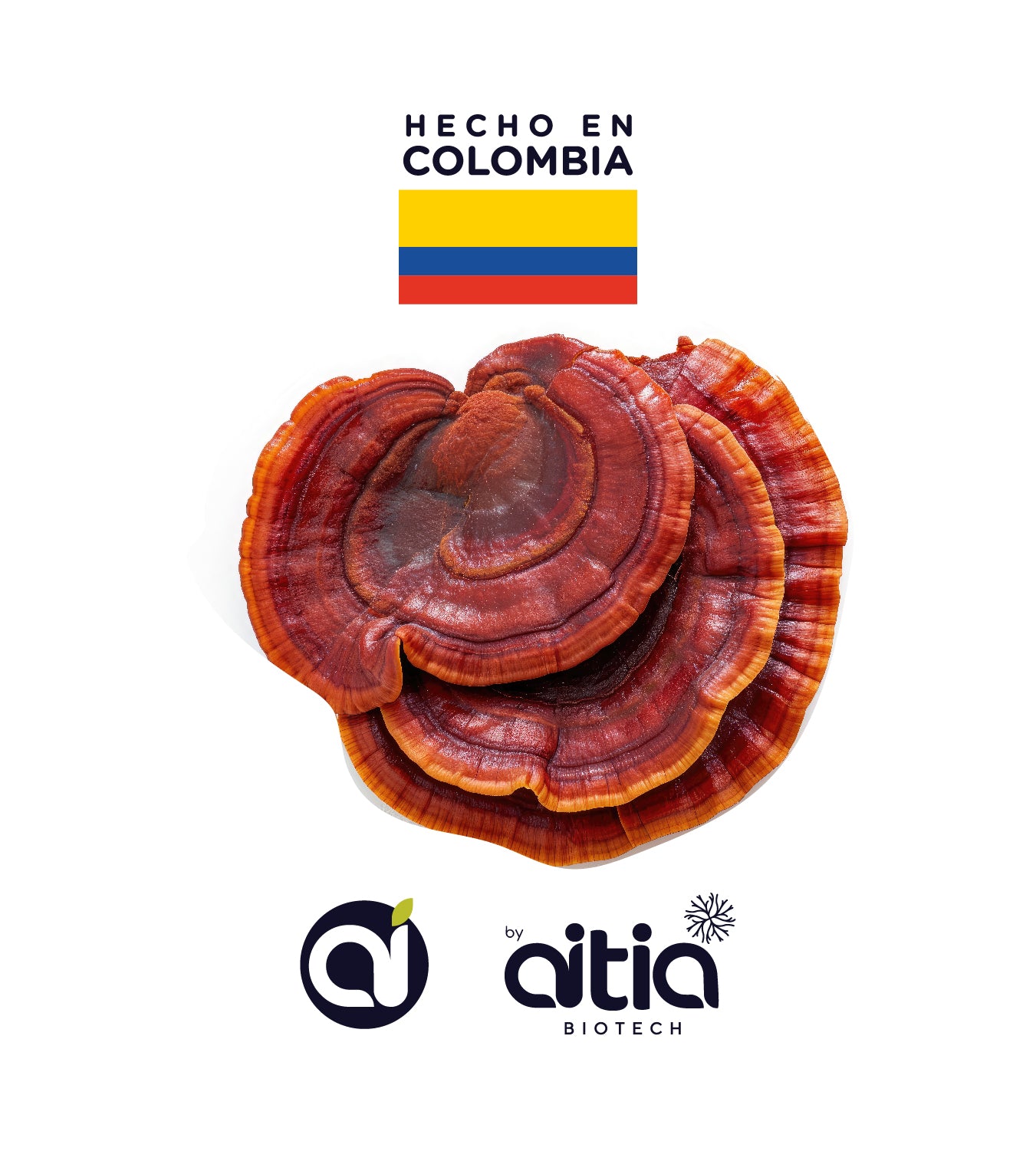 Betaglucanos de ganoderma