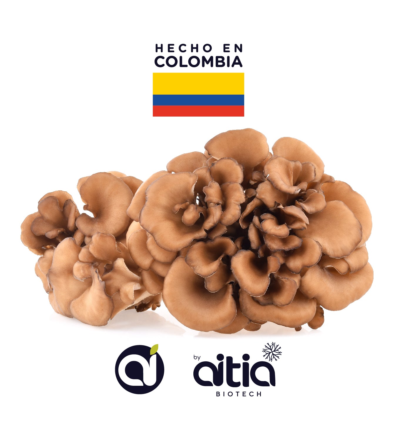 Maitake